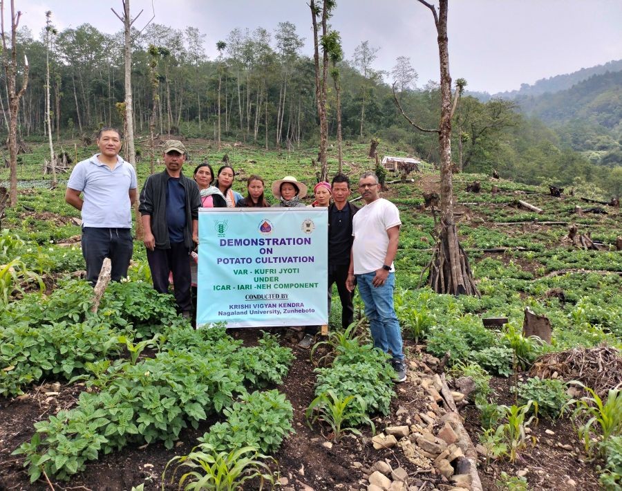 Principal Scientist and Head, KVK Dr Rakesh Kumar Chaurasia and his team with farmers during the inspection of potato fields to assess growth and performance in Zunheboto. (Photo Courtesy: (KVK-NU) 